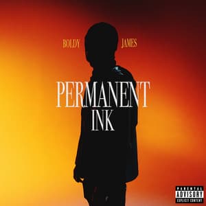 Permanent Ink - Boldy James