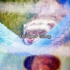 43 Super Sleep - Pet Relax Academy