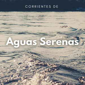 Corrientes De Aguas Serenas - Paisajes sonoros de agua