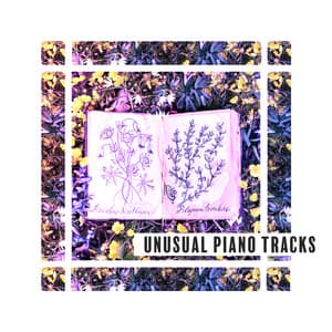Unusual Piano Tracks. Beautiful, Deeply Emotional Music - Easy Listening Relaxation Piano Radio
