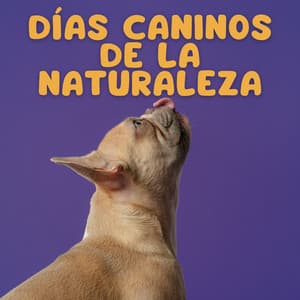 Días Caninos De La Naturaleza - NatuREM