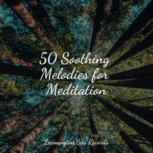 50 Soothing Melodies for Meditation - Rain