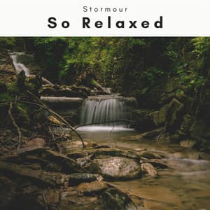 1 So Relaxed - Stormour