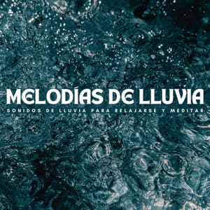 Melodías De Lluvia: Sonidos De Lluvia Para Relajarse Y Meditar - Agradecida por la lluvia
