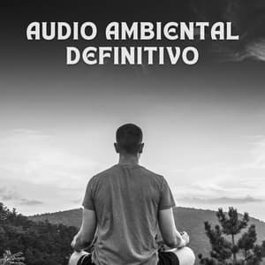 Sonidos Calmantes De La Noche - Serenidad Academy