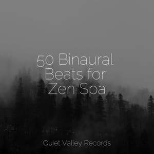 50 Binaural Beats for Zen Spa - Schlaflieder Für Kinder