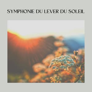 Symphonie du Lever du Soleil - Ambiance de Fond