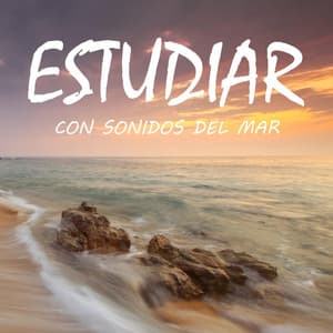 Estudiar Con Sonidos del Mar - Musica Para Leer