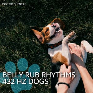 Belly Rub Rhythms: 432 Hz Dogs - Dog Frequencies