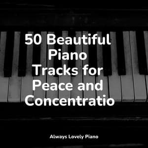 50 Romantic Piano Soundscapes - Calm Music for Studying