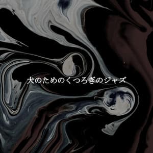 犬のためのくつろぎのジャズ - Latin Jazz Instrumental