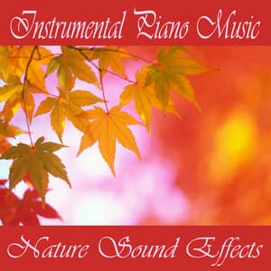 Instrumental Piano Music - Nature Sound Effects - Instrumental Piano Music