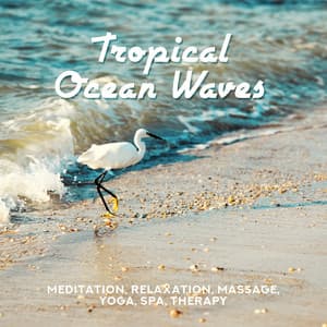 Tropical Ocean Waves - Meditation, Relaxation, Massage, Yoga, Spa, Therapy - Natural Zen Meditation White Noise