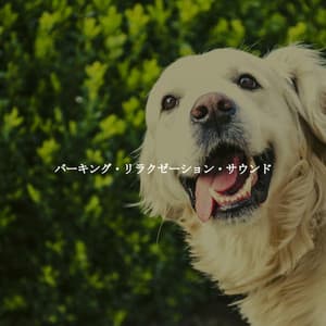バーキング・リラクゼーション・サウンド - Acoustic Study Music Beats