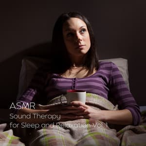 ASMR: Sound Therapy for Sleep and Relaxation Vol. 1 - Sleep Repeat
