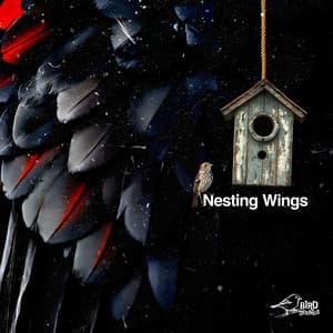Nesting Wings - Bird Sounds