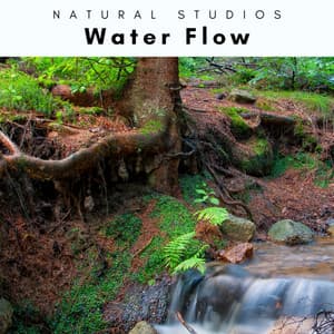 2022 Water Flow - Natural Woodland Sounds