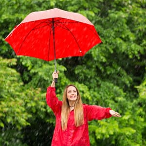 Umbrella's Symphony: Nature's Rain and Thunder Relaxation - Thunder and Rain Storm