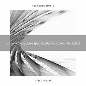 A Lovely White Noise Specially For Carpe Diem, Meditation - Soothing Noise & Sleepful Sounds