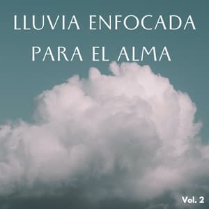 Lluvia Enfocada Para El Alma Vol. 2 - Lluvia en el Bosque