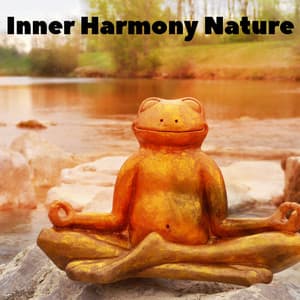 Inner Harmony Nature - Meditation Zen Master