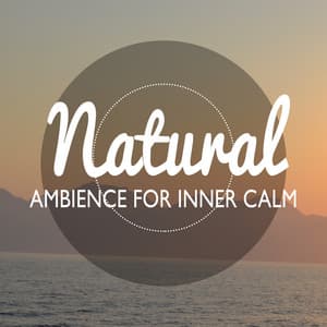 Natural Ambience for Inner Calm - Ambiance nature