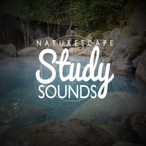 Naturescape Study Sounds - Bird Sounds