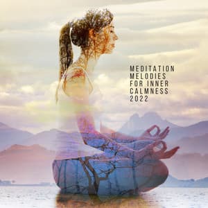 Meditation Melodies for Inner Calmness 2022 - Deep Sleep Meditation Guru