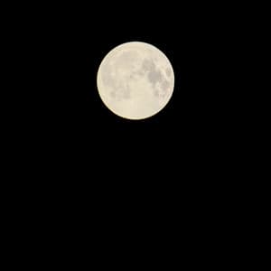 50 Ambient Songs: Sacred Space Sounds - White Noise