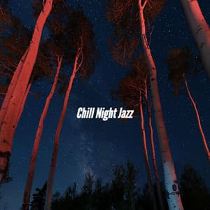 Chill Night Jazz - Relaxing BGM Project