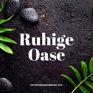 Ruhige Oase: Entspannende Spa Musik - Entspannungsmusik Spa