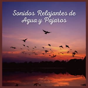Sonidos Relajantes de Agua y Pajaros - Sonidos De Aves