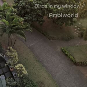 Birds in My Window - Ambiworld