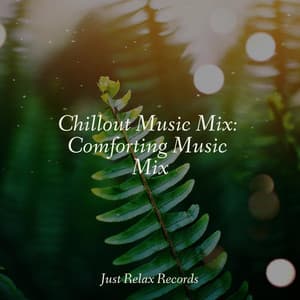 Chillout Music Mix: Comforting Music Mix - Mantra para Dormir
