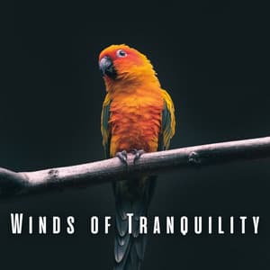 Winds of Tranquility: Birds and Heavy Rain for Relaxation Retreat - Ultimate Sounds of Nature