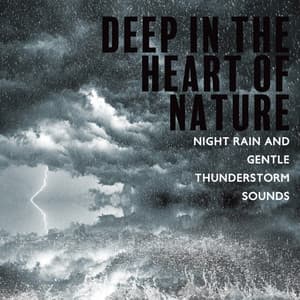 Deep in the Heart of Nature: Night Rain and Gentle Thunderstorm Sounds. Natural Relax, Stress Relief Time and Mental Restfulness - Nature Sounds Paradise