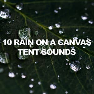 10 Rain On A Canvas Tent Sounds - Rain Recorders