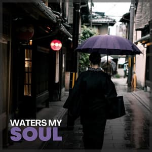 Waters My Soul - Rain Sounds FX