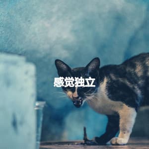 感觉独立 - Soft Restaurant Jazz Playlist