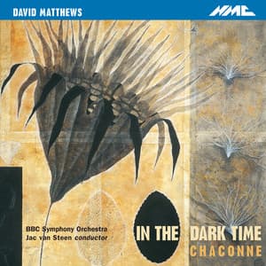 David Matthews: In the Dark Time, Op. 38 & Chaconne, Op. 43 - David Matthews