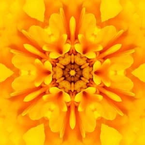 174 Hz - Serenity Mindwell