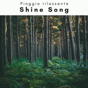 1 REM: Shine Song - Pioggia rilassante