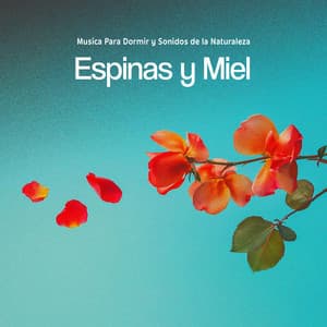 Espinas y Miel - Musica Para Dormir y Sonidos de la Naturaleza