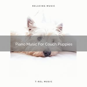 Piano Music For Couch Puppies - Sleep Dog