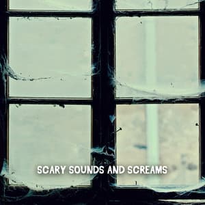 Scary Sounds And Screams - Spooky Halloween Sounds