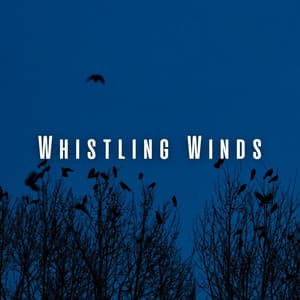 Whistling Winds: Heavy Rain and Birds for Sleep Immersion - Nature Field Recorders