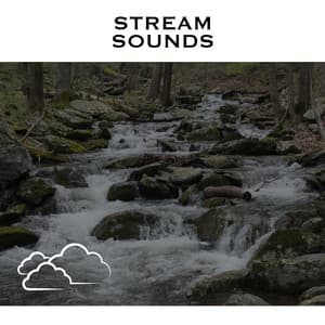 Stream Sounds - Serene Rose