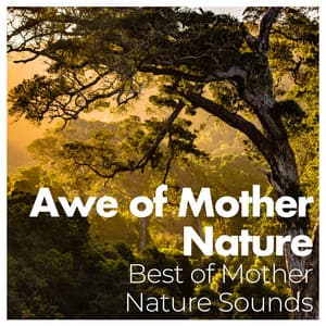 Awe of Mother Nature - Best of Mother Nature Sounds