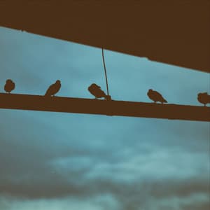 Ultimate Sounds | Meditation - The Sleep Specialist