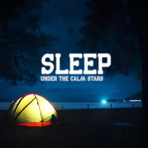 Sleep under the Calm Stars - Deep Sleep Universe
